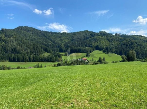 Weyer, Upper Austria 3335