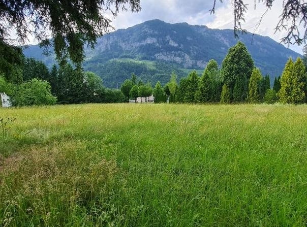 Spital am Pyhrn, Upper Austria 4582