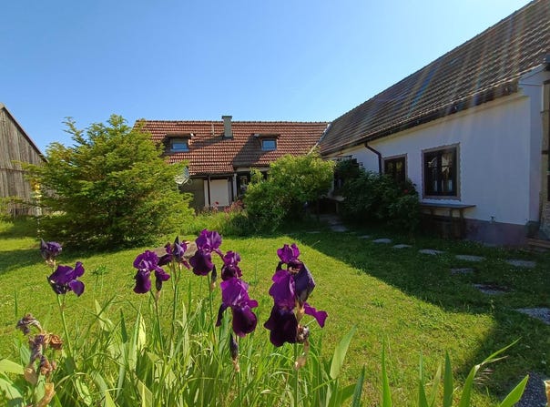 Großkrut, Lower Austria 2143
