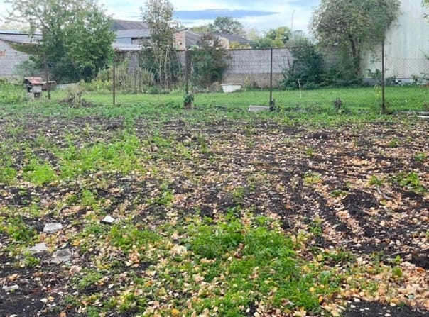 Gols, Burgenland 7122