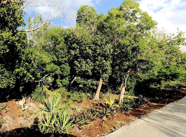 LOT R 27 PALMETTO SHORES, Eleuthera, Eleuthera