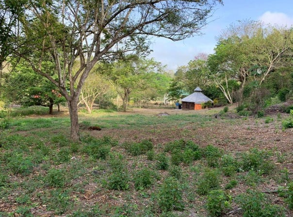 #Residential Lot with Casita in Bullet Tree, Bullet Tree, Cayo District