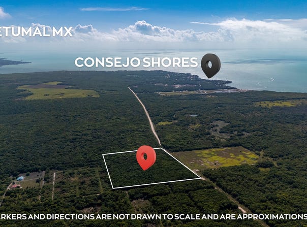 20 Acres Along Belize's Growing Consejo Road Corridor, Corozal Town, Corozal District