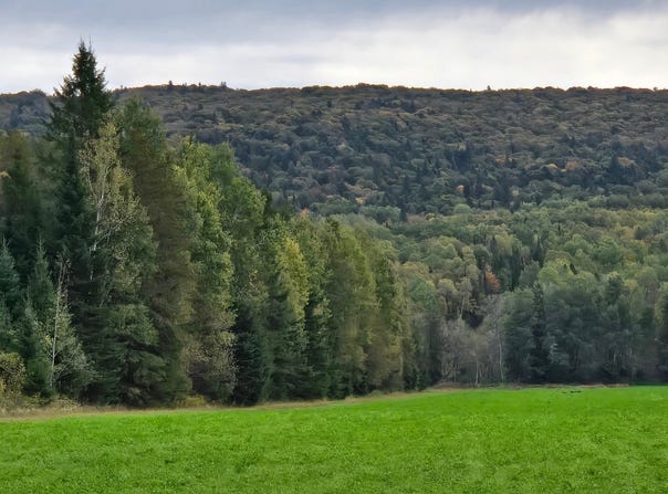 Ch. St-Joseph, Trois-Rives, Quebec G0X2C0