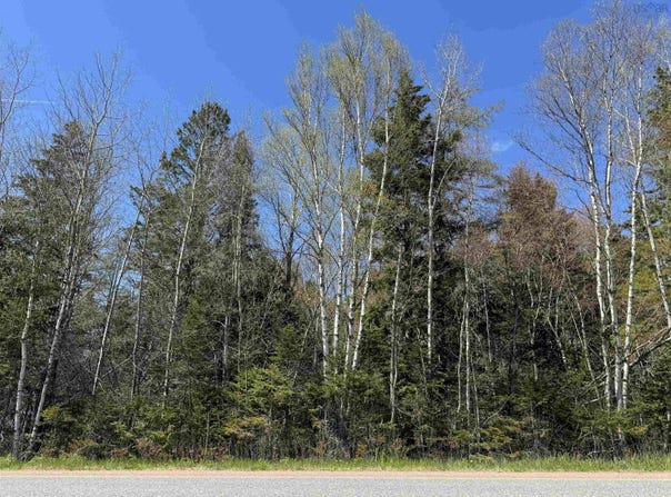4 Highway 509 Lot, Lower Maccan, Nova Scotia B0L 1B0