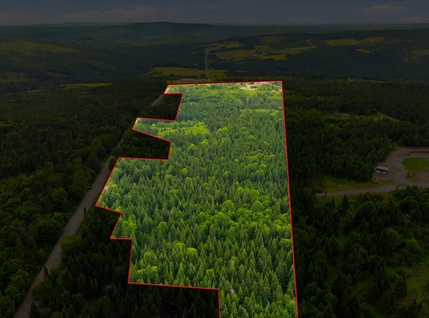 Route Laflamme, Saint-Luc-de-Bellechasse, Quebec G0R1L0