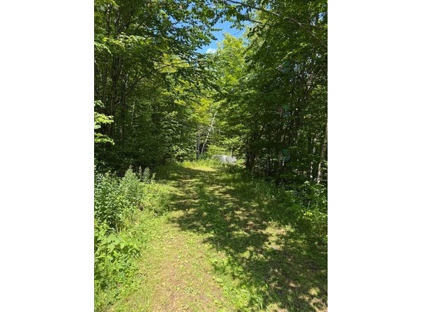 59 Ch. Nancy, Notre-Dame-des-Bois, Quebec J0B2E0