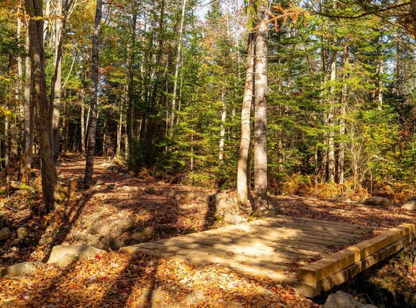 Little Deer Lane Lot 9, Chester Basin, Nova Scotia B0J 1K0