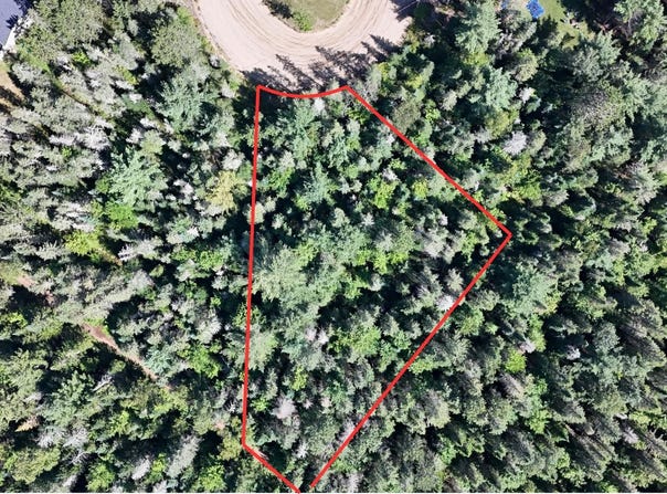 91 Ch. des Pionniers, Saint-Alexis-des-Monts, Quebec J0K1V0