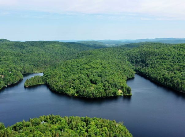 Ch. du Lac-Alphonse, La Minerve, Quebec J0T1S0