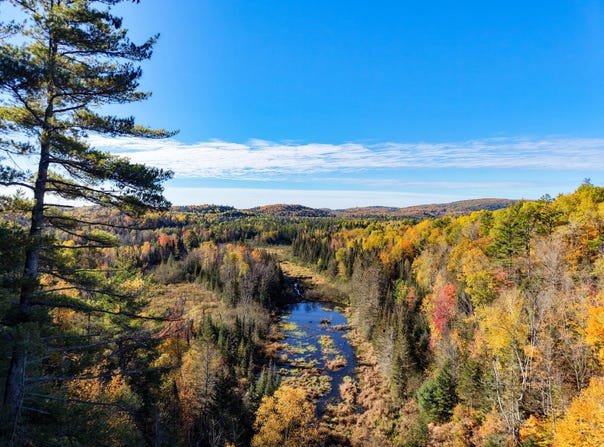 179 Ch. Robertson, La Pêche, Quebec J0X 1S0