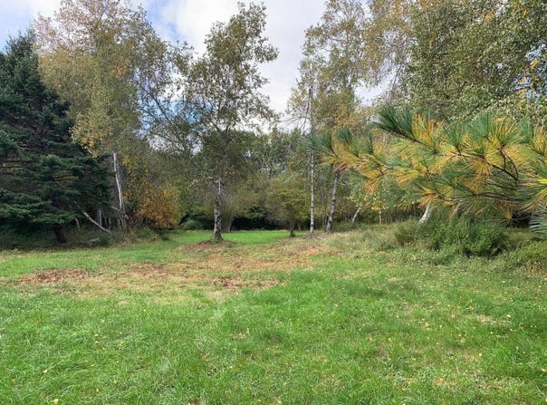 Sunnybrook Heights Drive Lot 100, Sunnybrook, Nova Scotia B0J 2C0