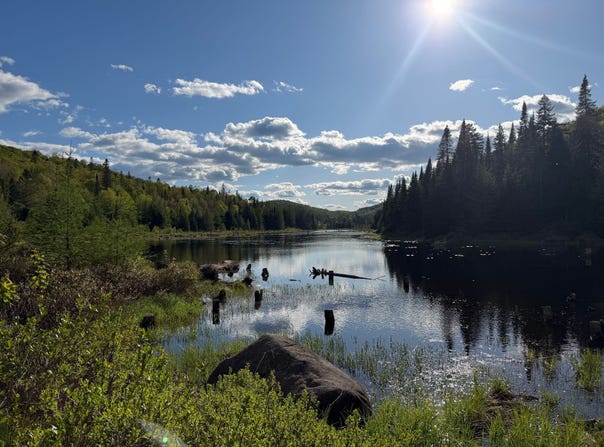 1850 Mtée Sauvage, Saint-Adolphe-d'Howard, Quebec J0T2B0