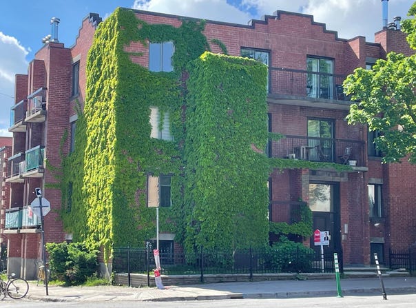 276 Av. du Mont-Royal E., Le Plateau-Mont-Royal, Quebec H2T1P5