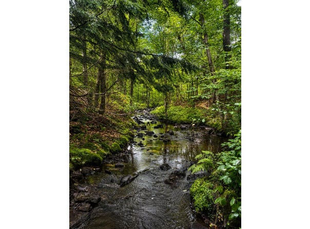 Ch. de Shrewsbury, Gore, Quebec J0V1K0