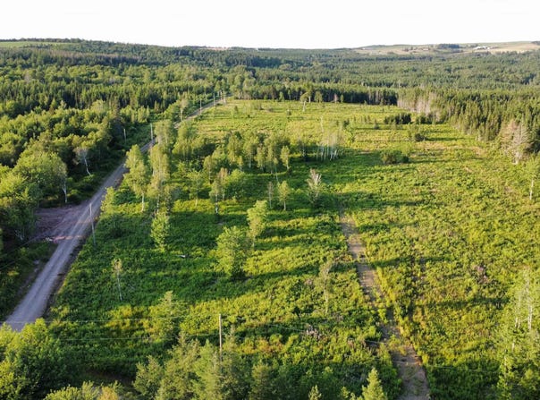 1 Whycocomagh-Port Hood Road Lot, Mabou, Nova Scotia B0E 1X0