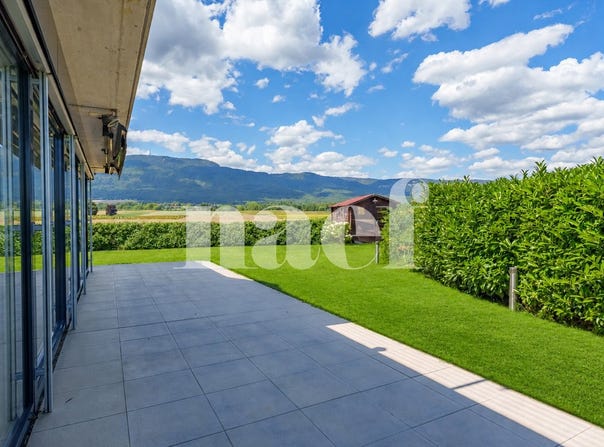Vaud, Grens, Vaud 1274