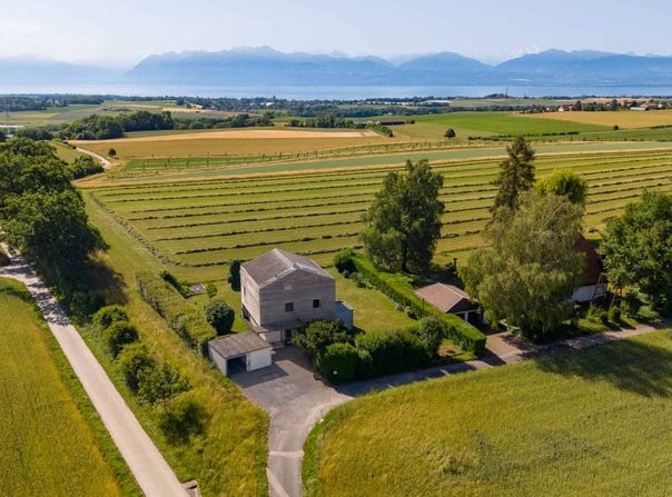 Apples, Apples, Vaud 1143