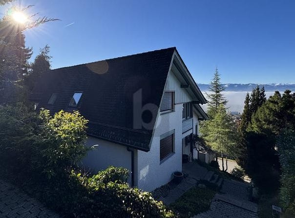 Dürnten, Zürich (canton) 8635