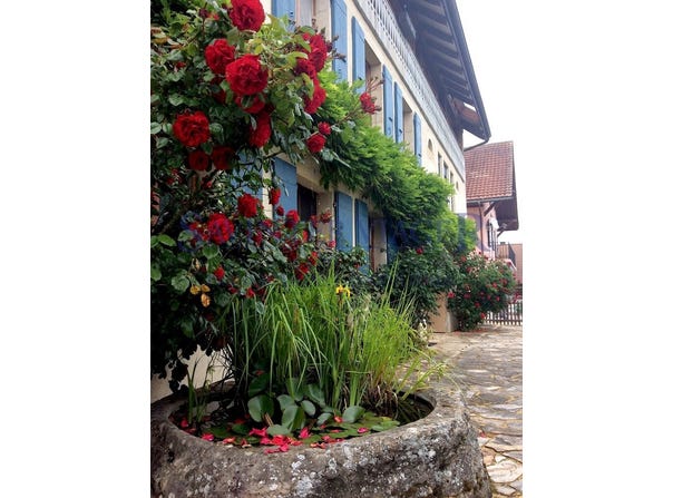 Fontaines-sur-Grandson, Vaud 1421