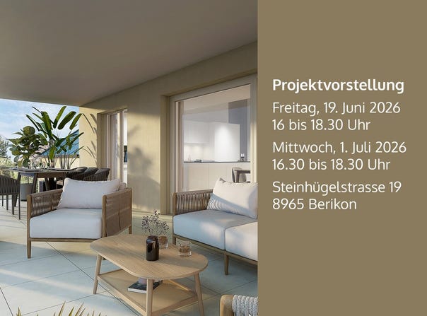 Steinhügelstrasse 19, Berikon, Aargau 8965