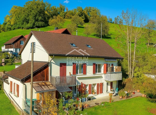 Selzach, Solothurn (canton) 2545