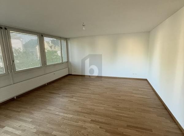 Allschwil, Basel-Landschaft (canton) 4123
