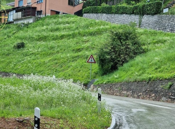 Bosco Luganese, Bosco Luganese, Ticino 6935