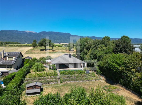 Borex, Vaud 1277