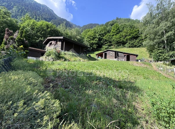 Martigny-Croix, Valais 1921