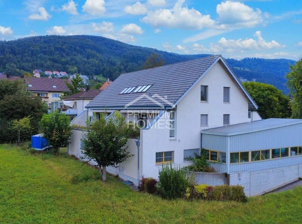 Oberbuchsiten, Solothurn (canton) 4625
