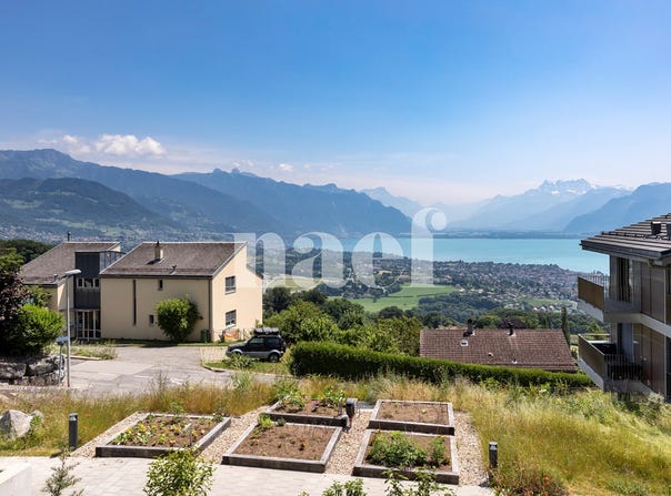 Vaud, Jongny, Vaud 1805
