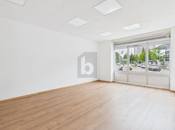 Biberist, Solothurn (canton) 4562
