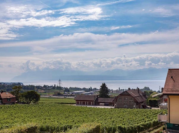 Mont-sur-Rolle, Vaud 1185