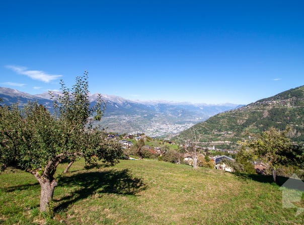 Basse-Nendaz, Valais 1996