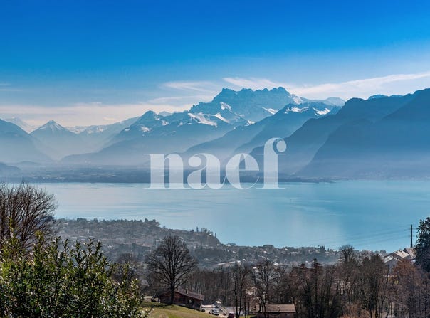 Vaud, Jongny, Vaud 1805