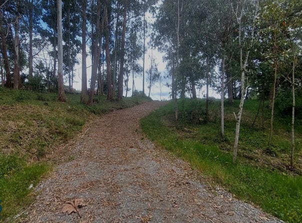 unit: 014, La Ceja, La Ceja