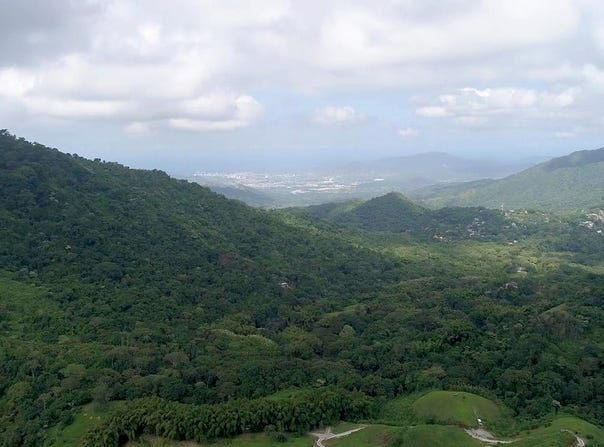 Minca, Minca, Magdalena 470008