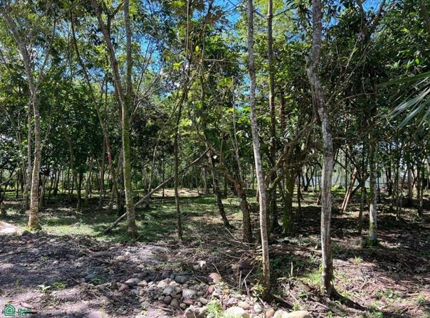 Sendero Ecologico Km 2, Villavicencio, Villavicencio, Meta, Villavicencio, Meta
