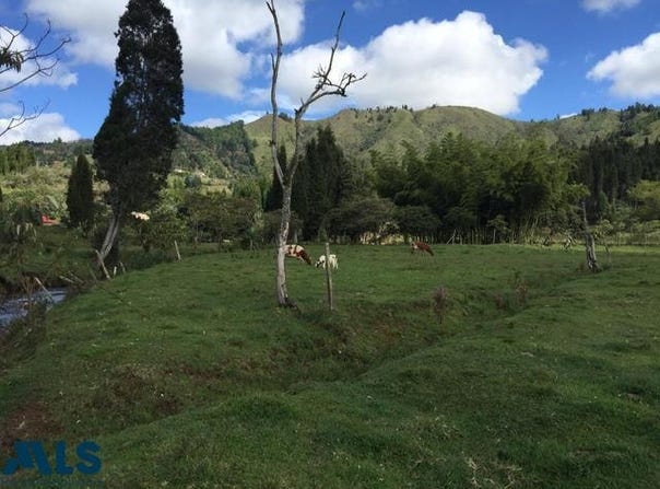 unit: 1, Guarne, Guarne