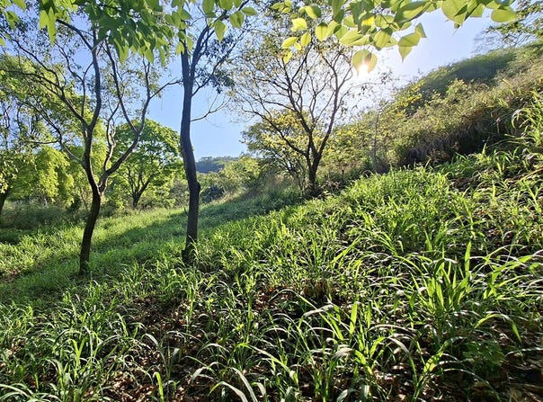 5VQ3+75, Santa Marta, Magdalena 470008
