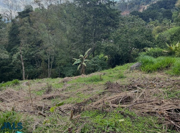 unit: 0, Medellín Poblado, Medellín Poblado