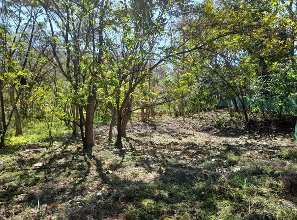 Sámara, Sámara, Guanacaste Province