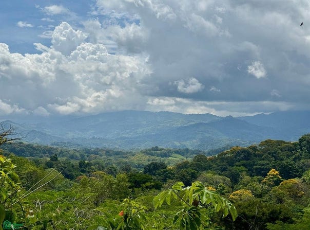 Platanillo, Puntarenas, Puntarenas 11901