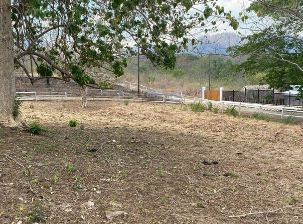 863M+HQ, Tamarindo, Guanacaste Province
