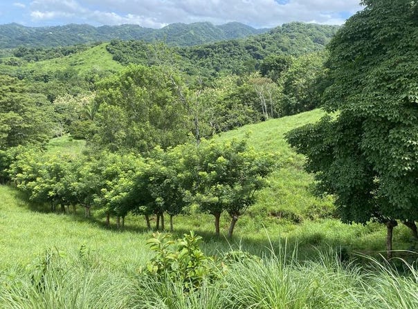 Sámara, Sámara, Guanacaste Province