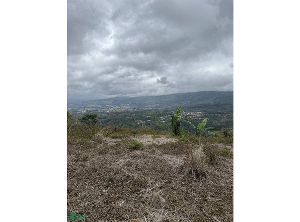 Verbena Norte , Turrialba, Turrialba, Cartago, Turrialba, Cartago 30501