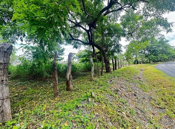 Lote Playa Cabuyal, Sardinal, Guanacaste 50503