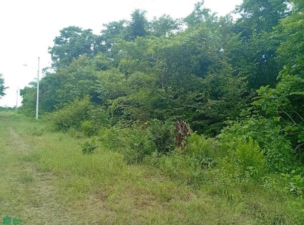 Eco-Reserva Bajamar , Lagunillas, Garabito, Puntarenas, Garabito, Puntarenas