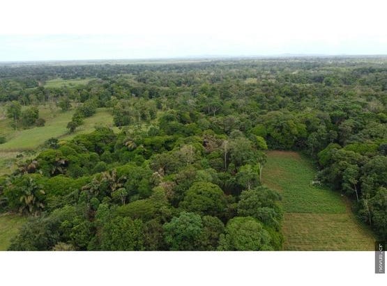 Limón, Limón, Limón Province